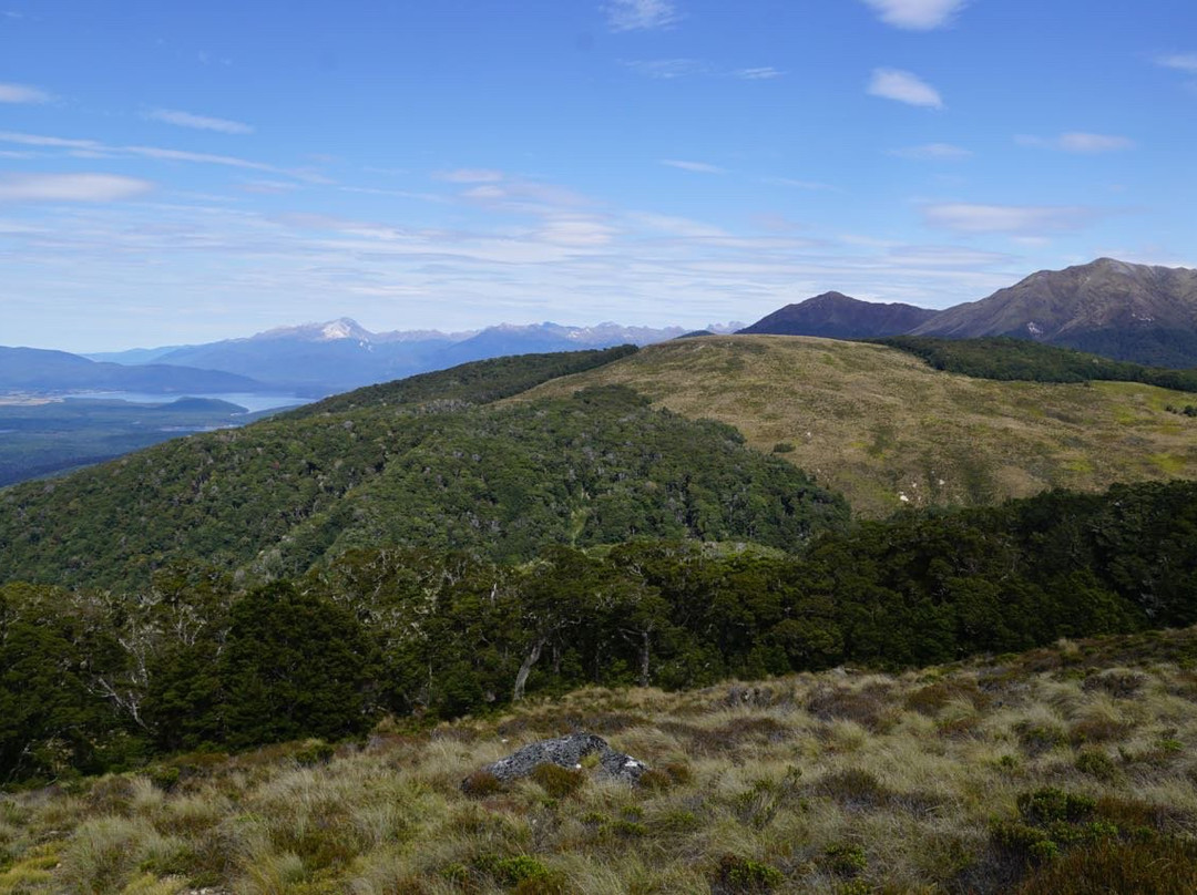 Luxmore Hut Track景点图片