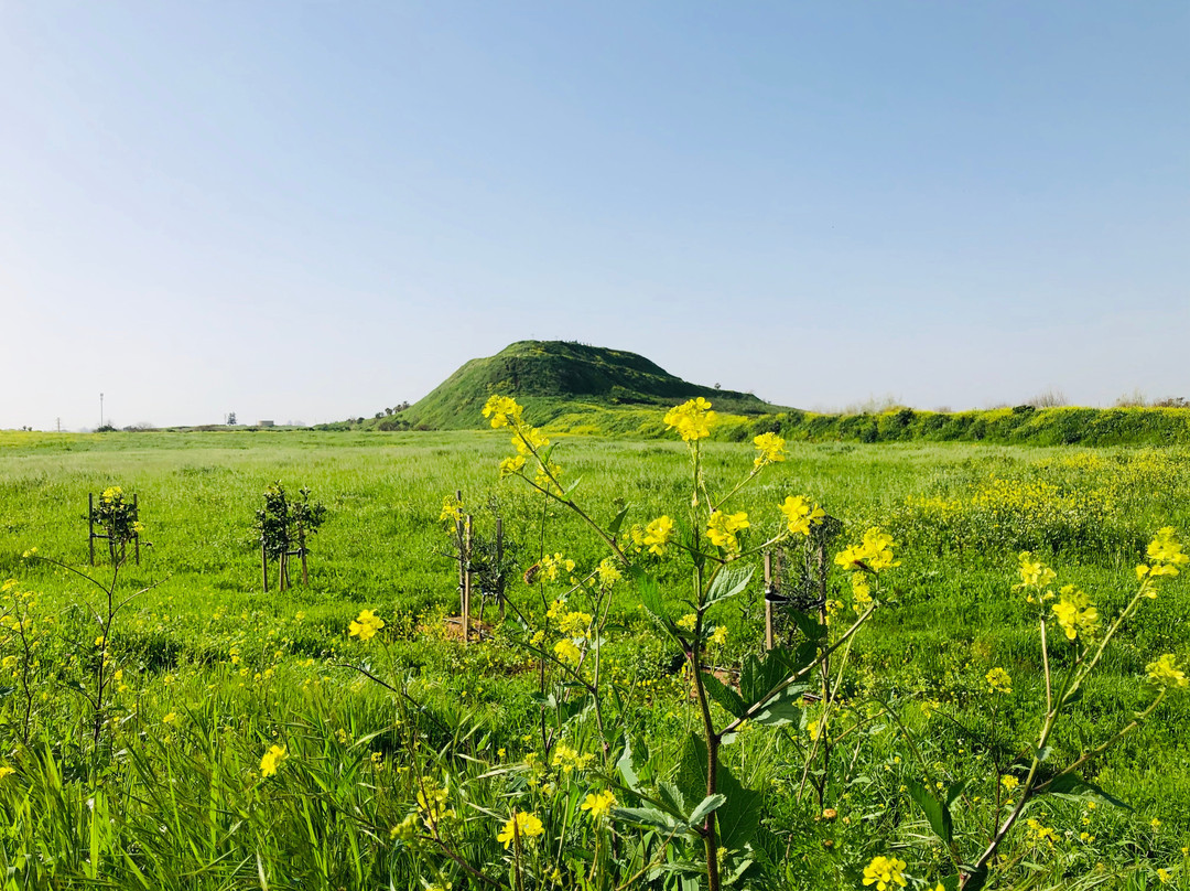Part HaAgamim-Rishon Lezion必去景点