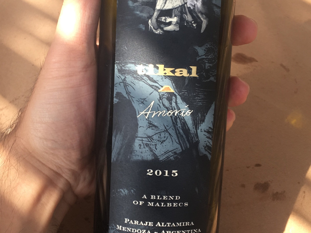 Ernesto Catena Vineyards-Vista Flores必去景点