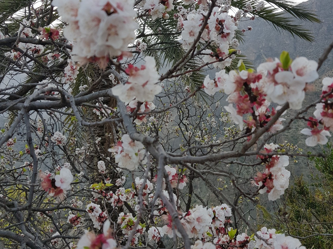 Wakan Village-Sohar必去景点