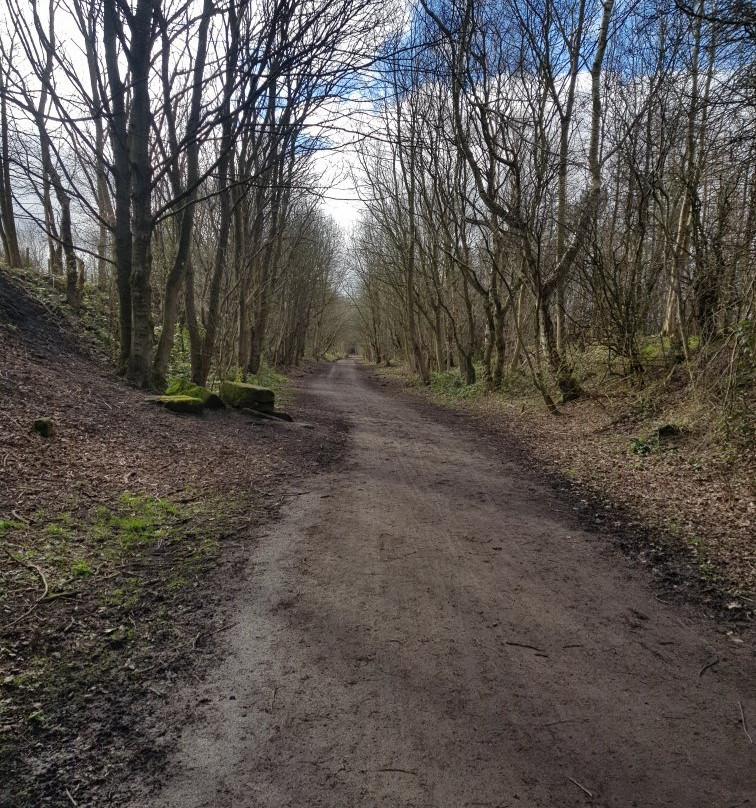 Derwenthaugh Country Park-盖茨黑德必去景点