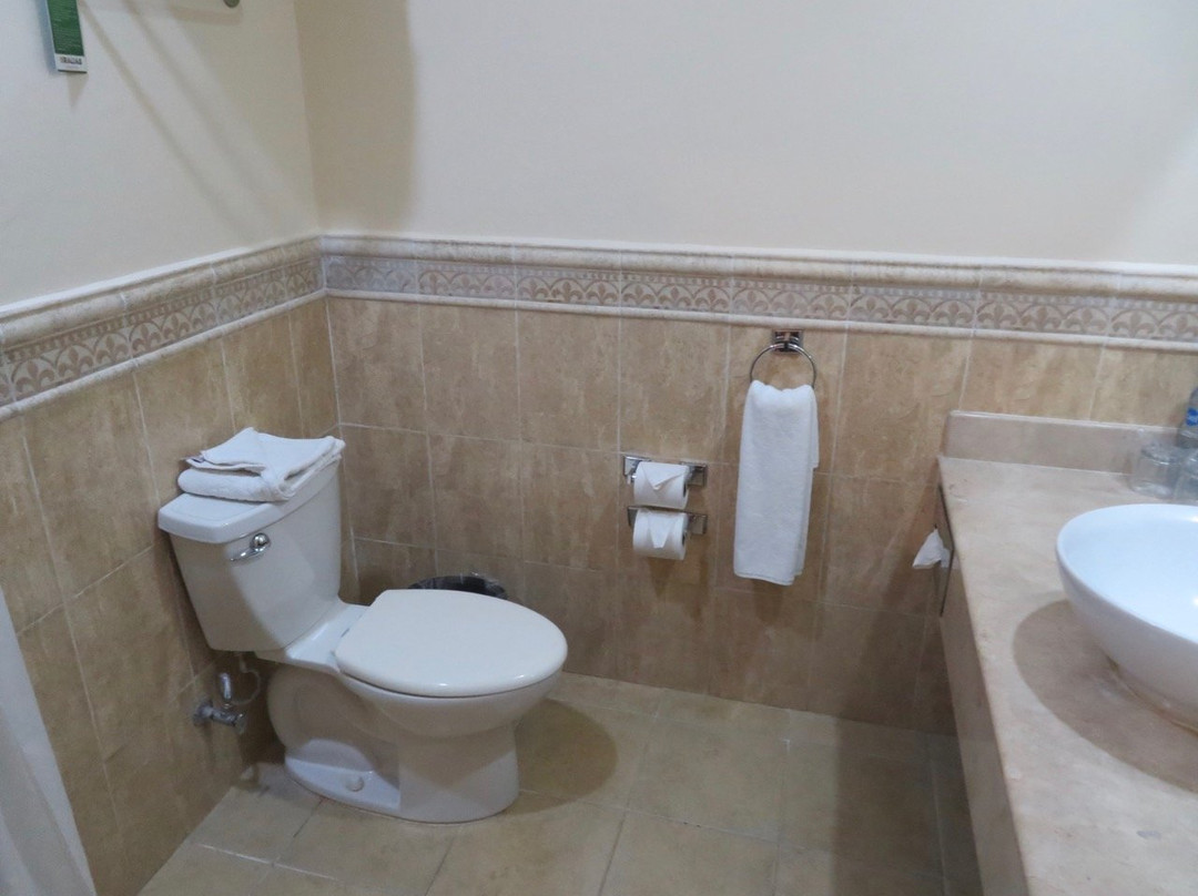 梅赛德斯帕伦克别墅酒店主图