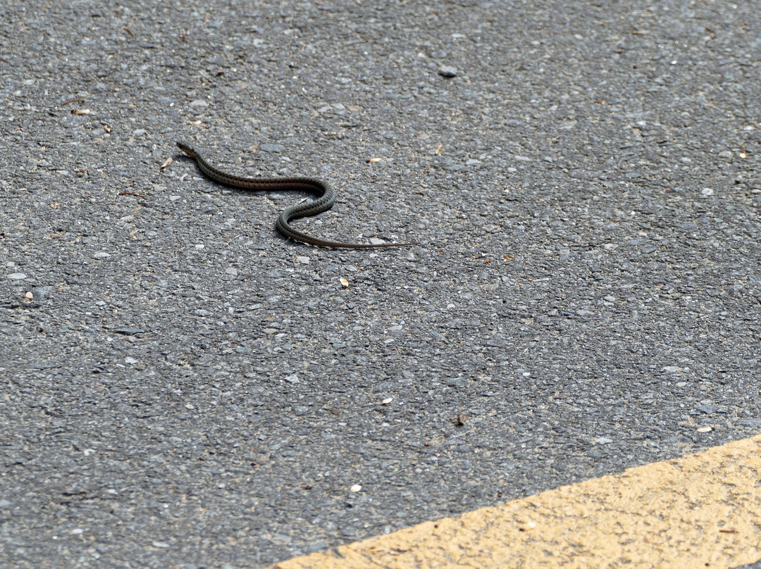 Parc des Chutes de la Petite Rivière Bostonnais-La Tuque必去景点