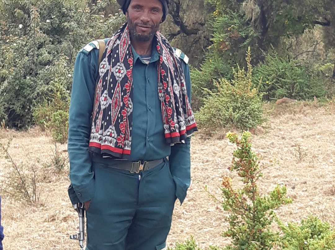 Simien View Tour & Travel景点图片