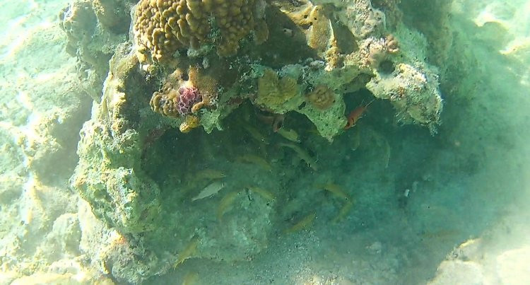 Orange Hill Beach Inn主图