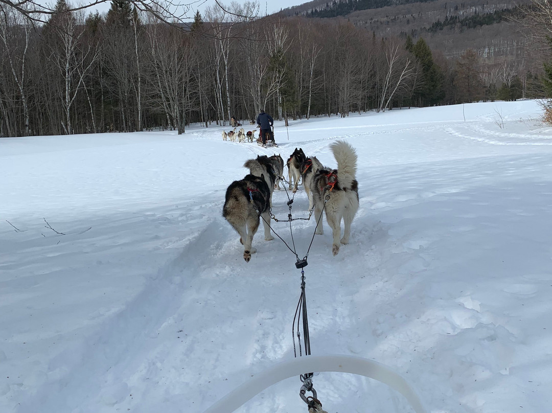 Secrets Nordiques Day Tours-博普雷必去景点