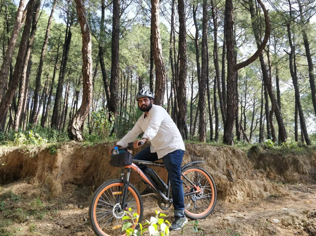 Lets Playy景点图片