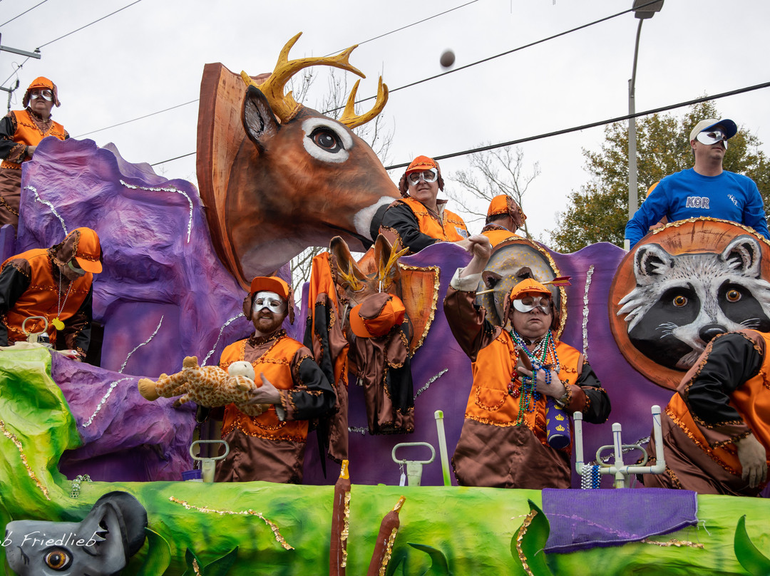 Mardi Gras Trail景点图片