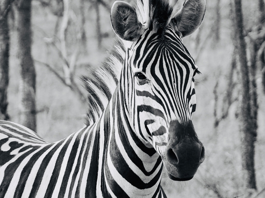 Mangaleka Africa-Umdloti必去景点