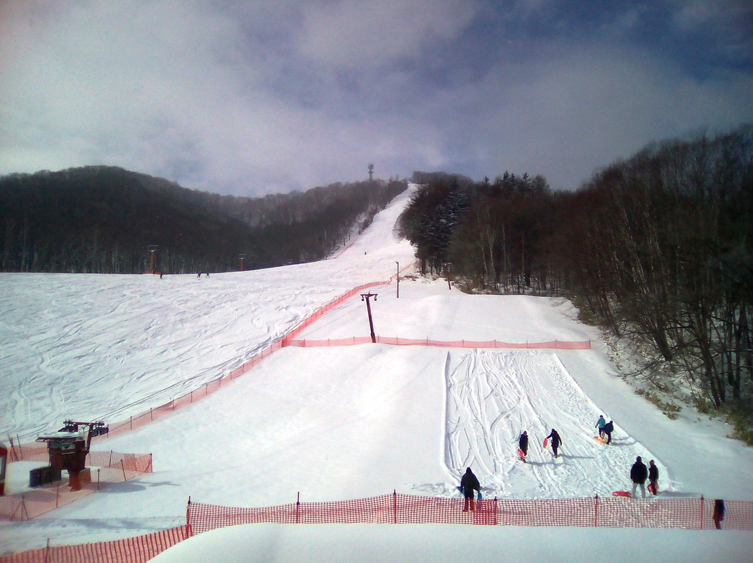 Shintokuyama Ski Area-新得町必去景点