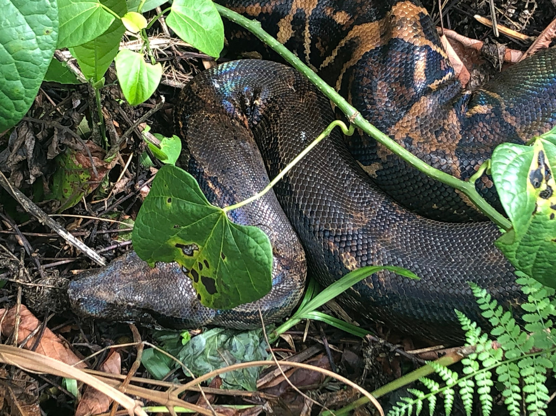 Expedition Colombia-麦德林必去景点