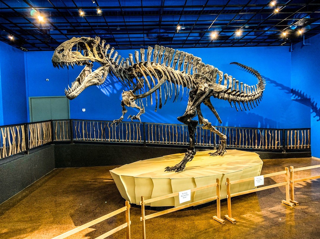 The Museum of the Red River-Idabel必去景点