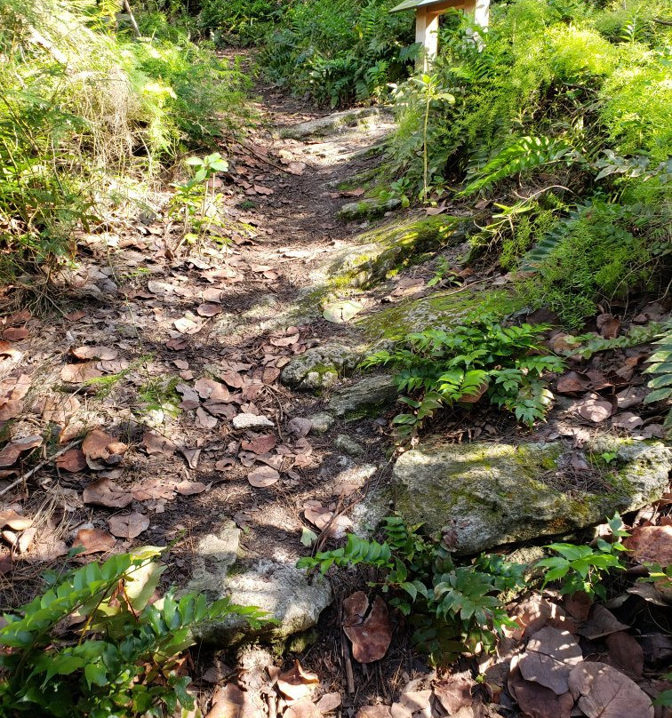 Spittal Pond Nature Reserve-百慕大必去景点