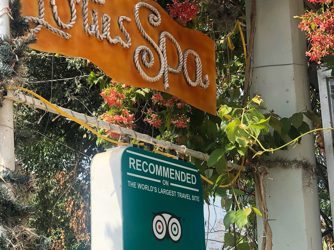 Lotus Spa-Ong Lang必去景点