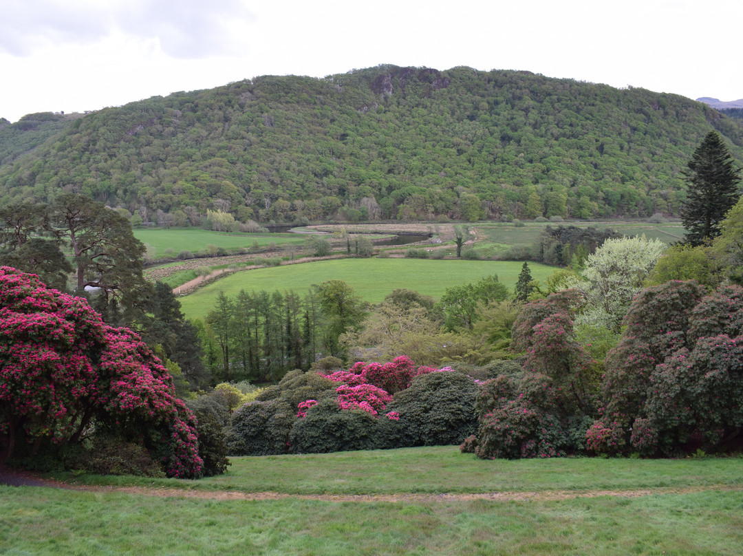 Plas Tan y Bwlch Gardens景点图片