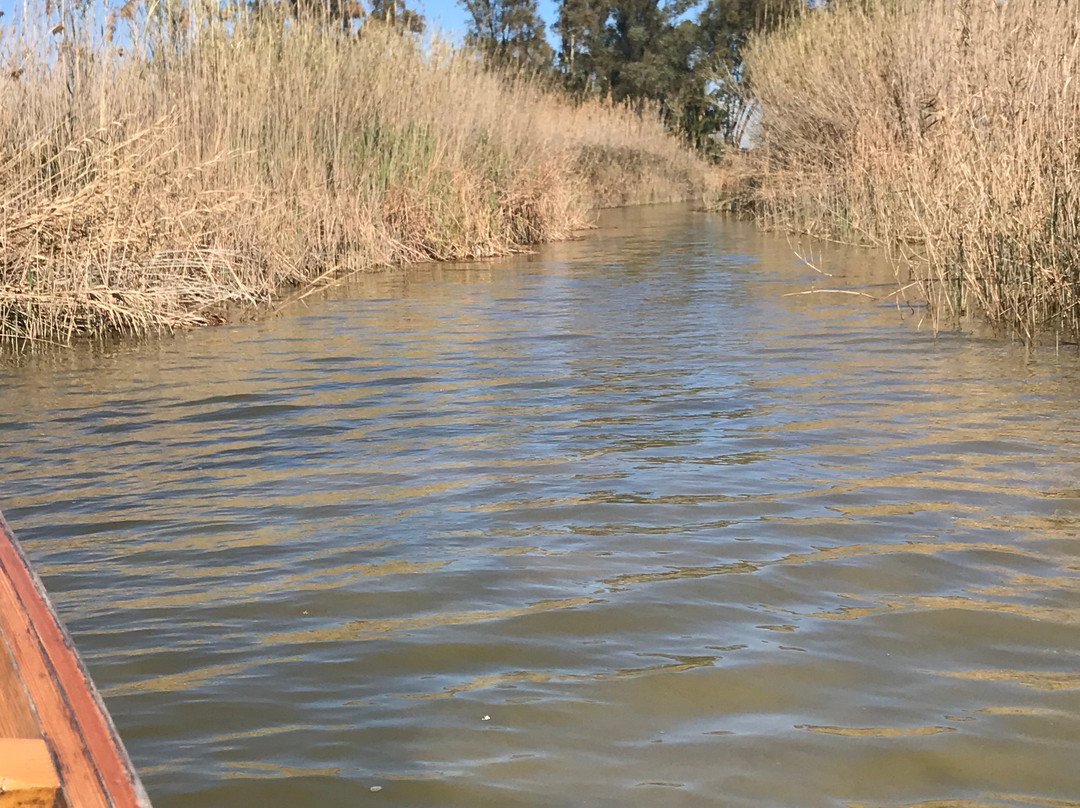 El Palmar-巴伦西亚必去景点