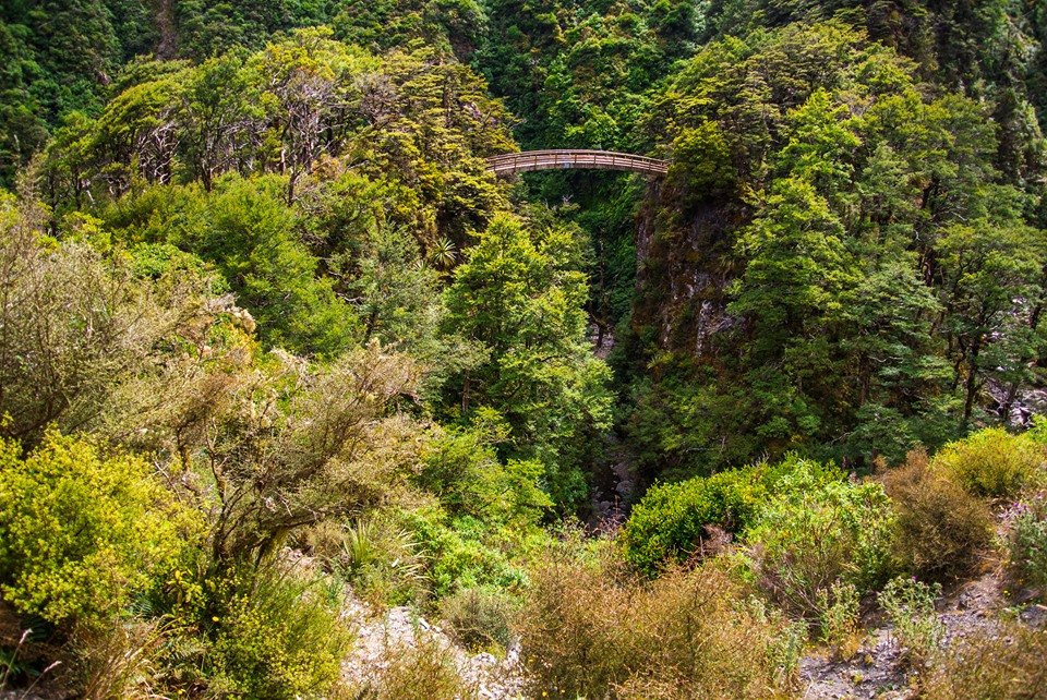 Rangiwahia Hut Track景点图片