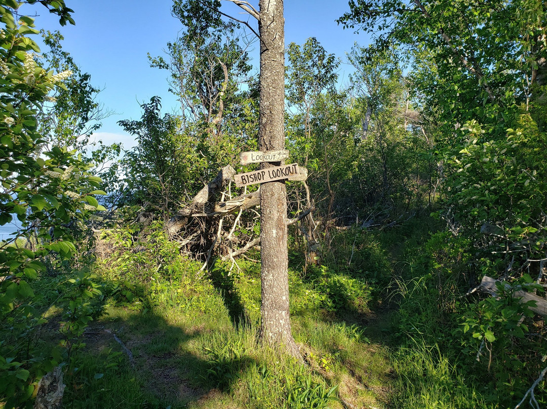 Thomas B. Munro Memorial Nature Preserve-Grand Manan必去景点