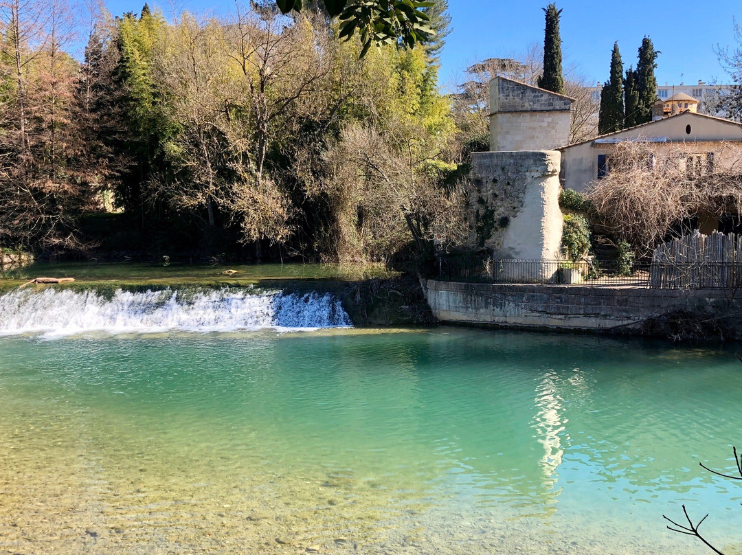 Parc du Domaine de Meric-蒙彼利埃必去景点