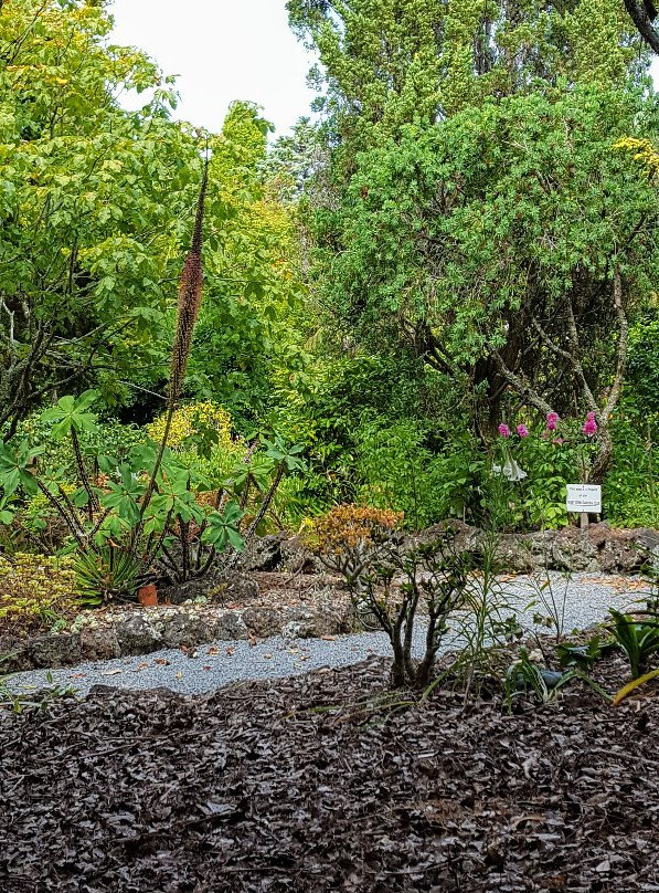 West Lynn Garden-New Lynn必去景点