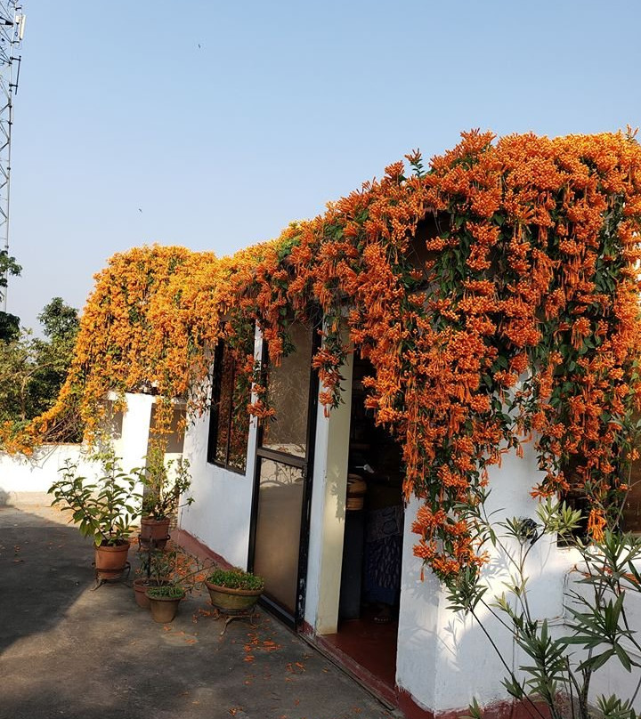 Mitali Homestays主图