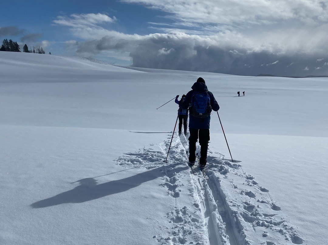 Yellowstone Expeditions景点图片