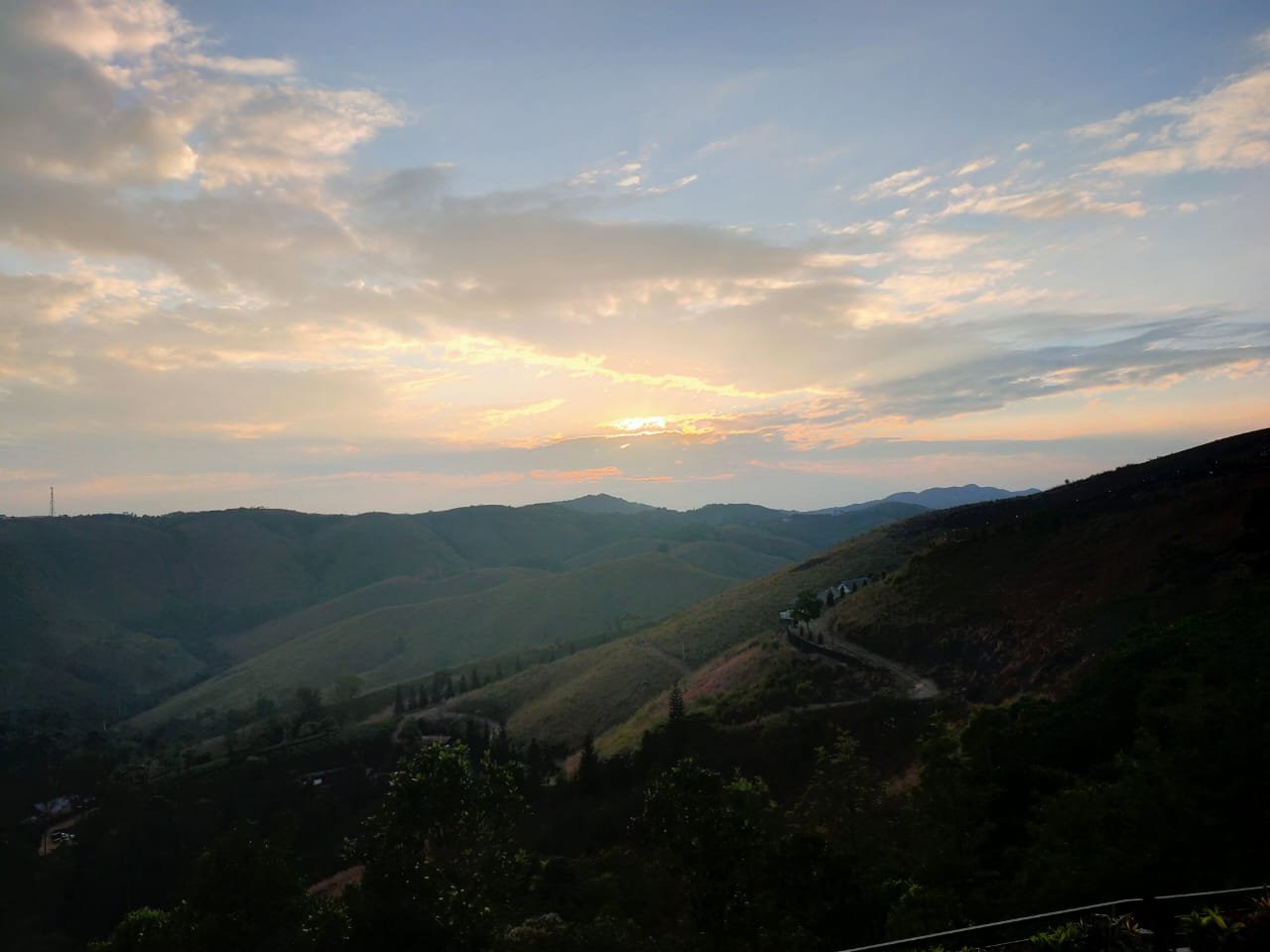 松树超越酒店-酒店景观