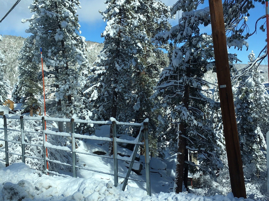 VAS Transportation LLC-园林必去景点