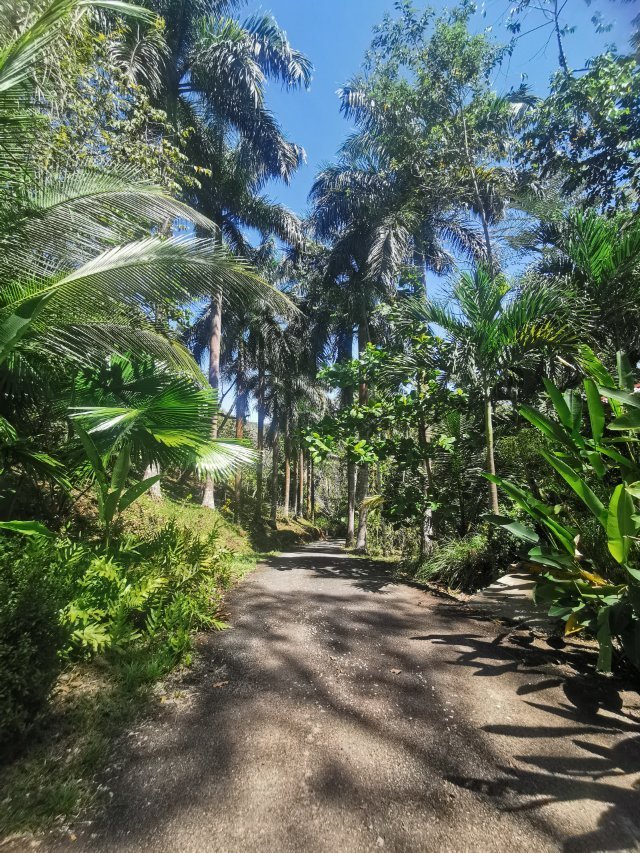 马格伊尔拉特小屋-官方