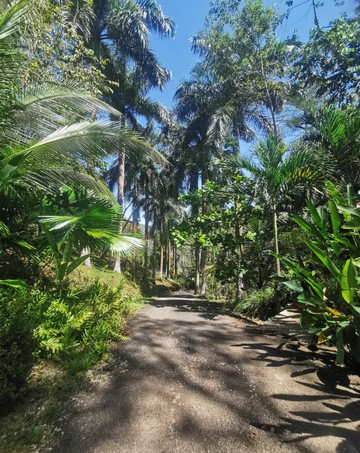 Panica旅游攻略图片