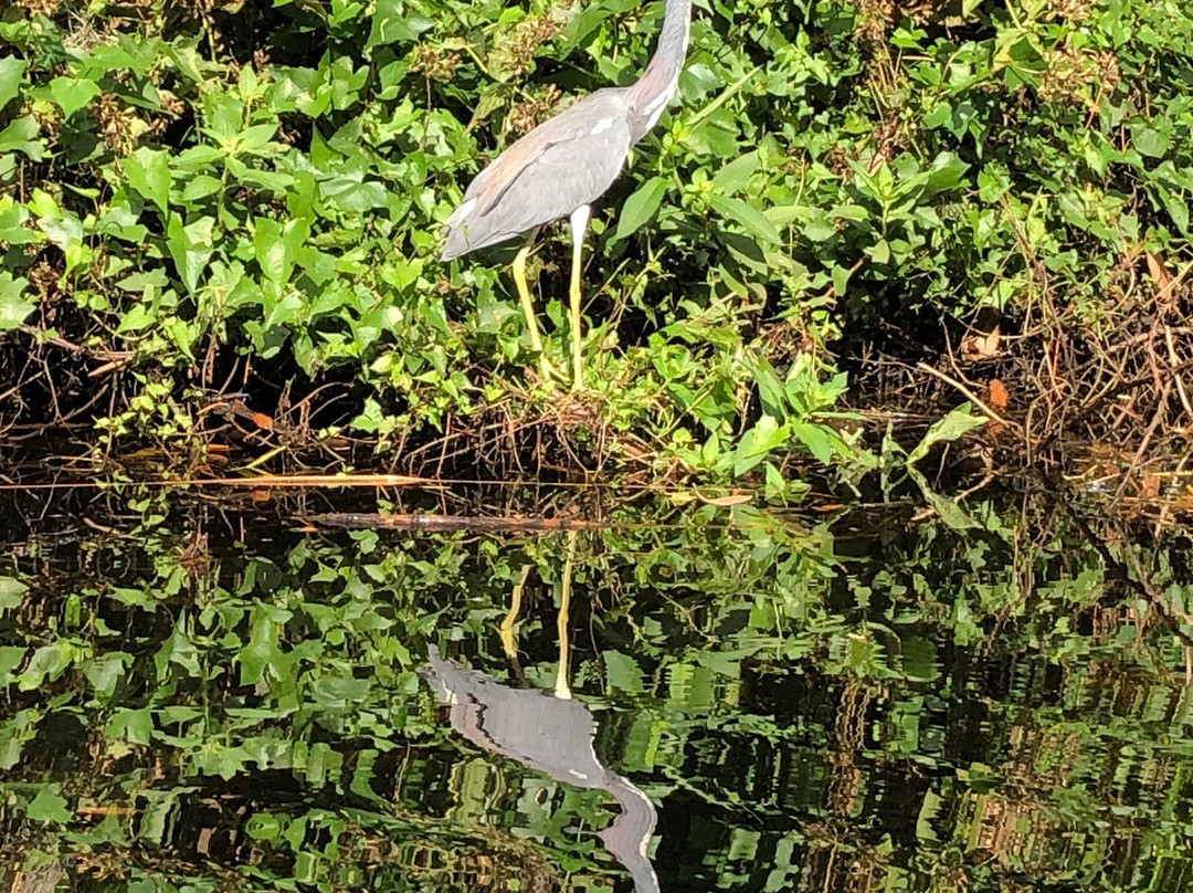 CGT Kayaks-博尼塔斯普林斯必去景点