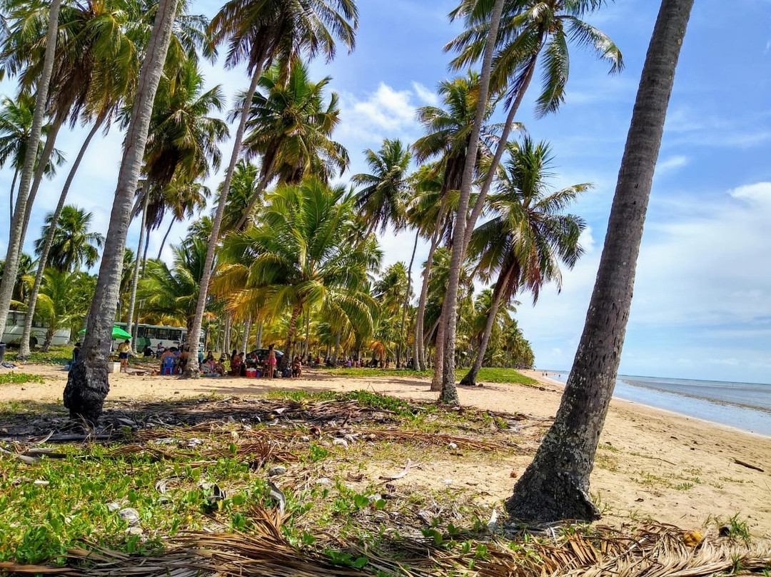 Bitingui Beach-Japaratinga必去景点