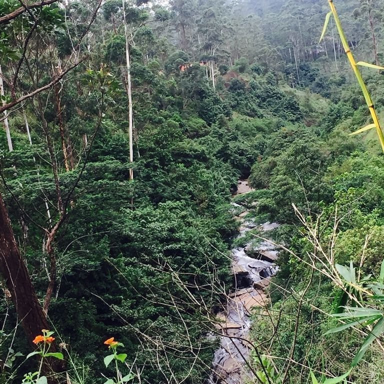 Galboda Falls-Nawalapitiya必去景点