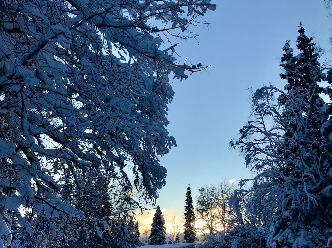 Judy's Touch of Class B&B主图