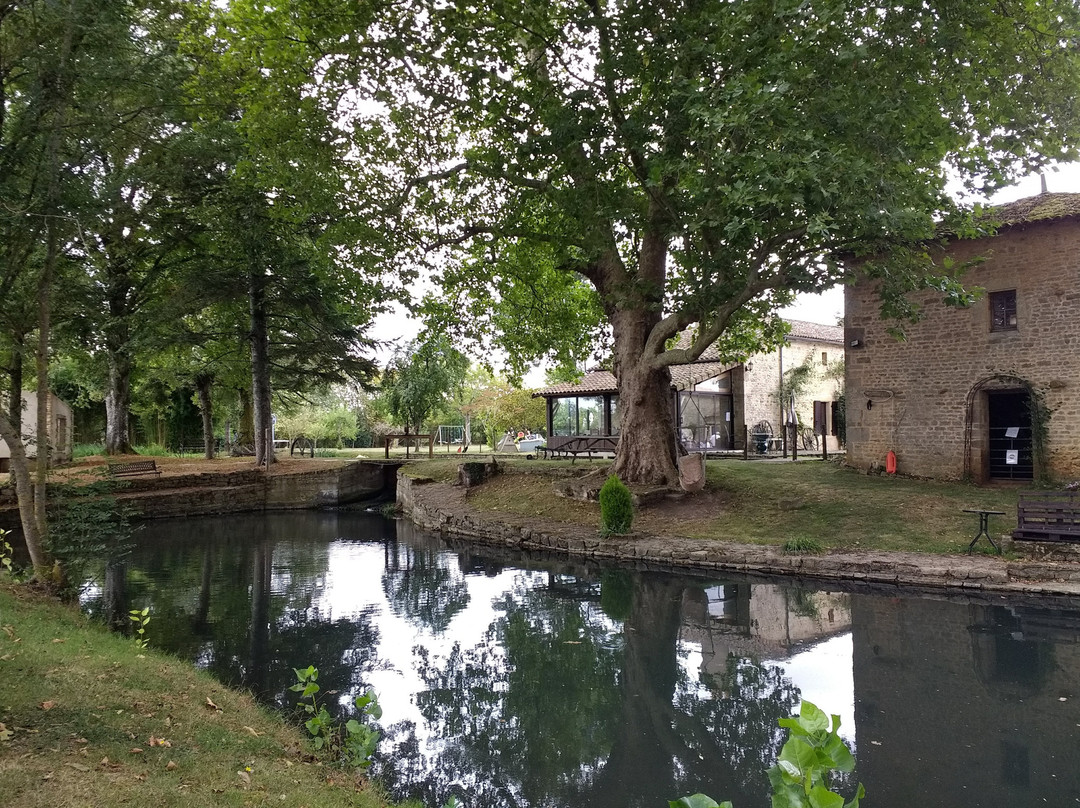 Le Petit Moulin主图