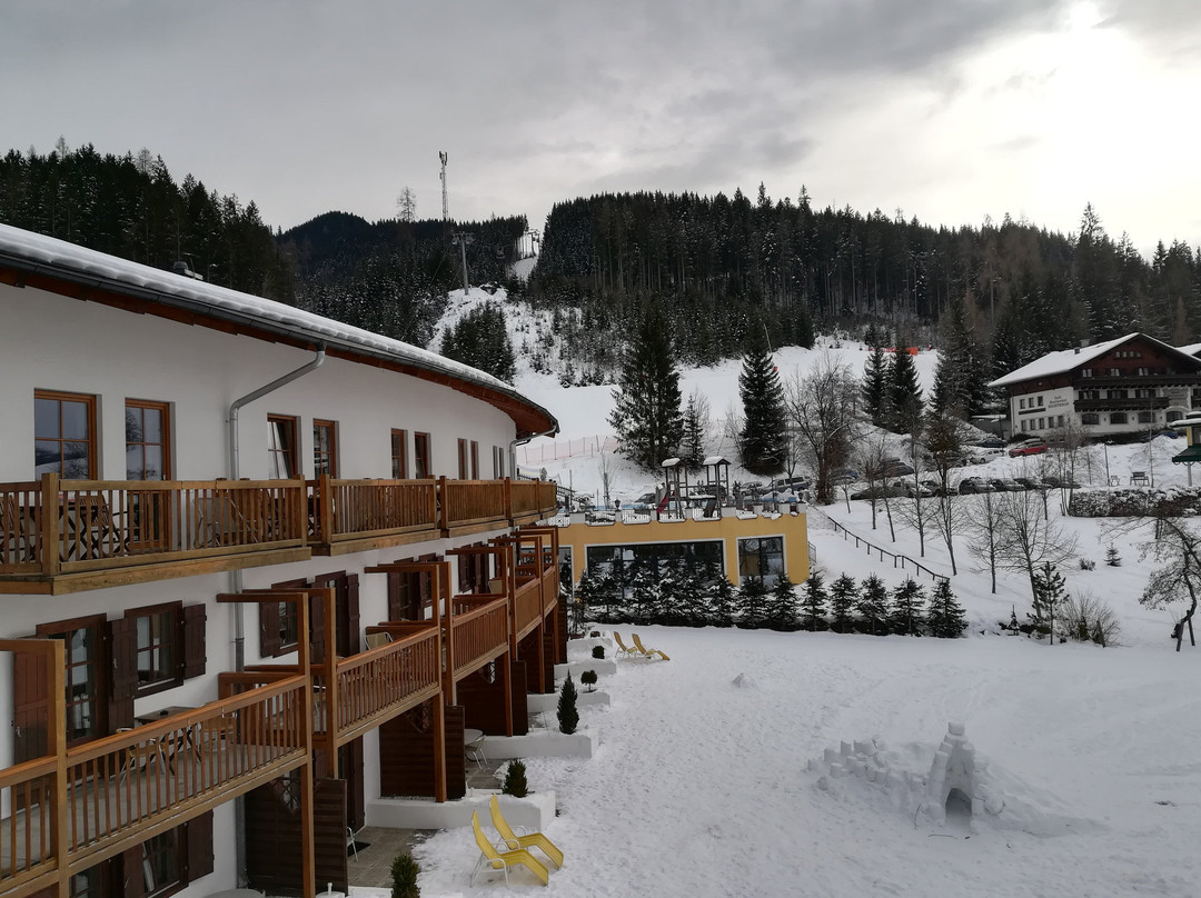 Gut Wenghof - Family Resort Werfenweng主图