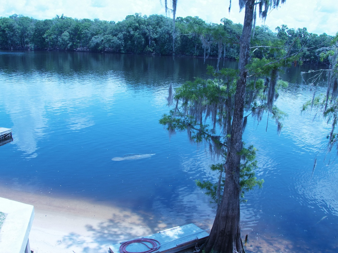 Suwannee Gables主图