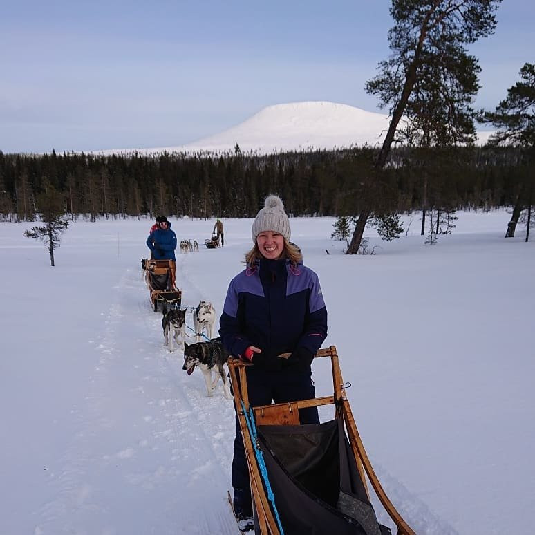 Adventure Dreams Husky Dogsledding-Idre必去景点