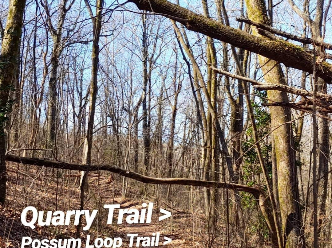 Ruffner Mountain-伯明翰必去景点