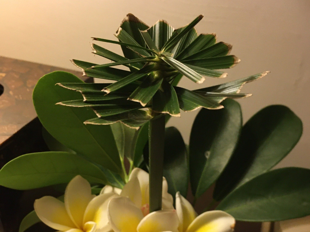 Six Senses Spa Huahin-蓬武里必去景点