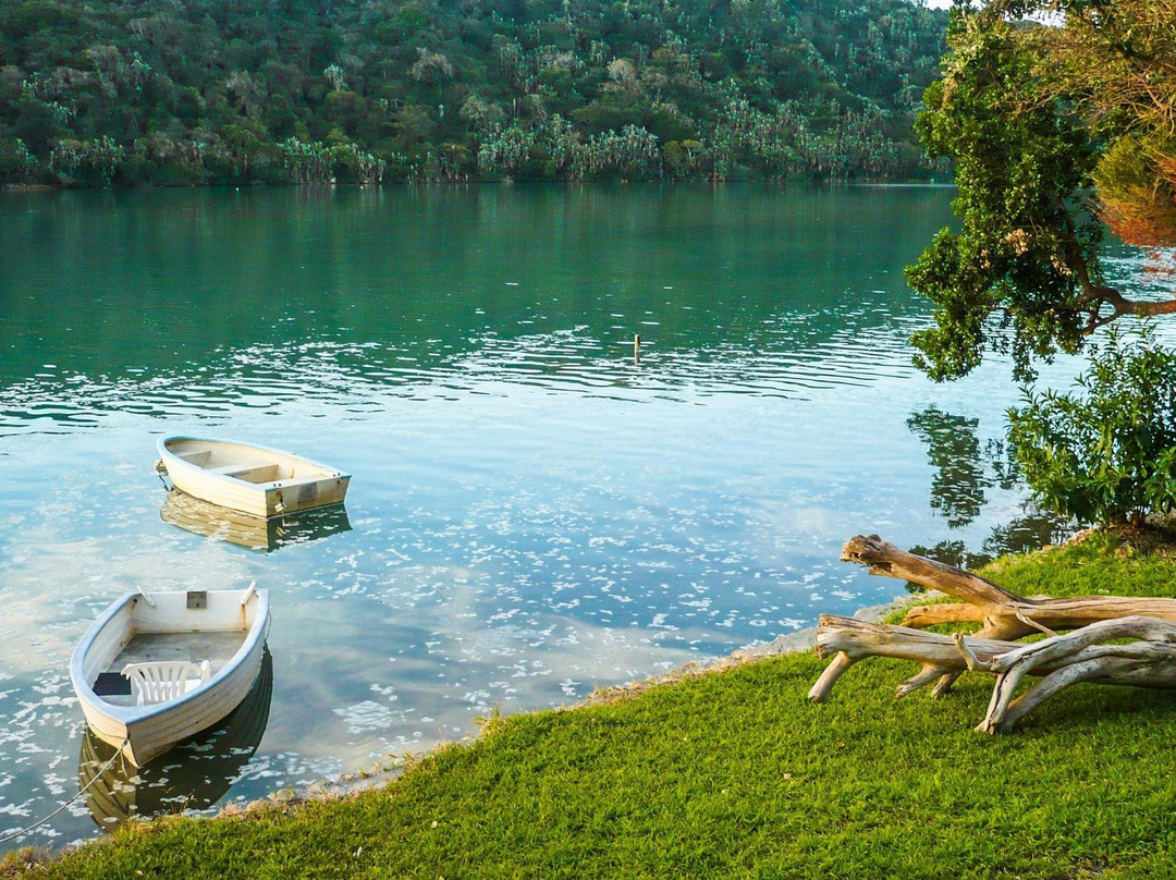 African Eagle-约翰内斯堡必去景点