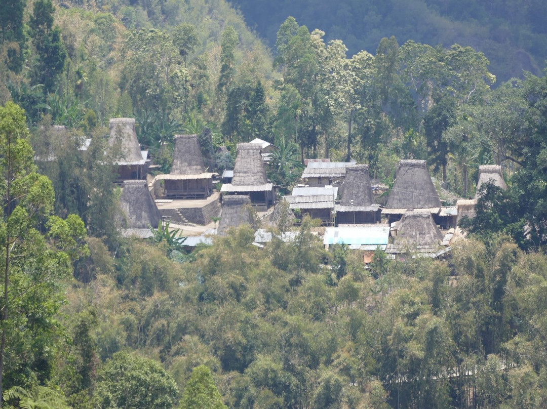 Manulalu Panorama景点图片