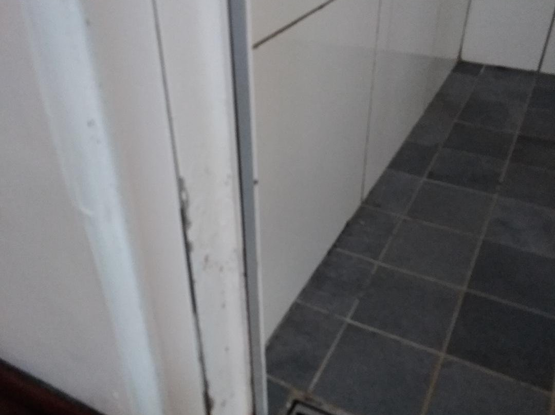 皇家托拉里卡酒店主图