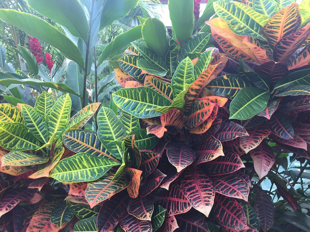 Hotel Casa Blanca Boutique主图