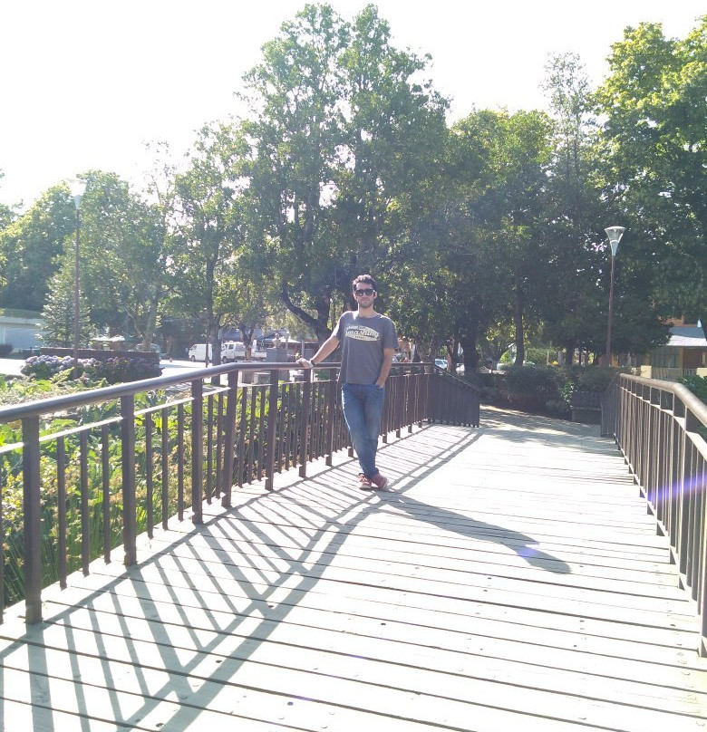 Plaza de Armas de Pucon-普孔必去景点