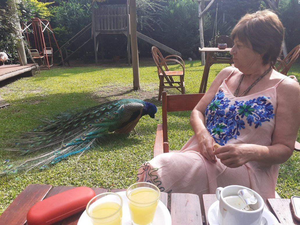 Hosteria El Abuelo主图