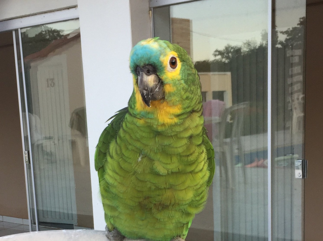 Pousada Alto Da Lapa主图