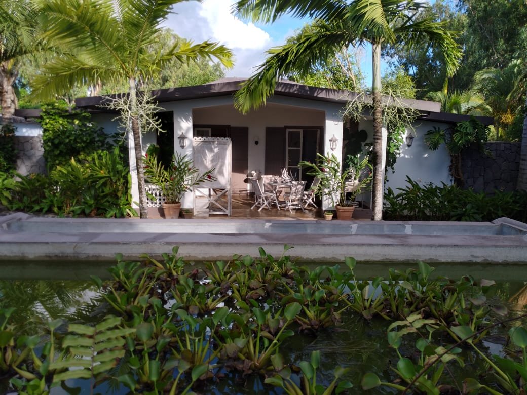 White Coconut Residence-官方