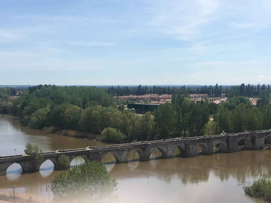 Puente de Simancas景点图片