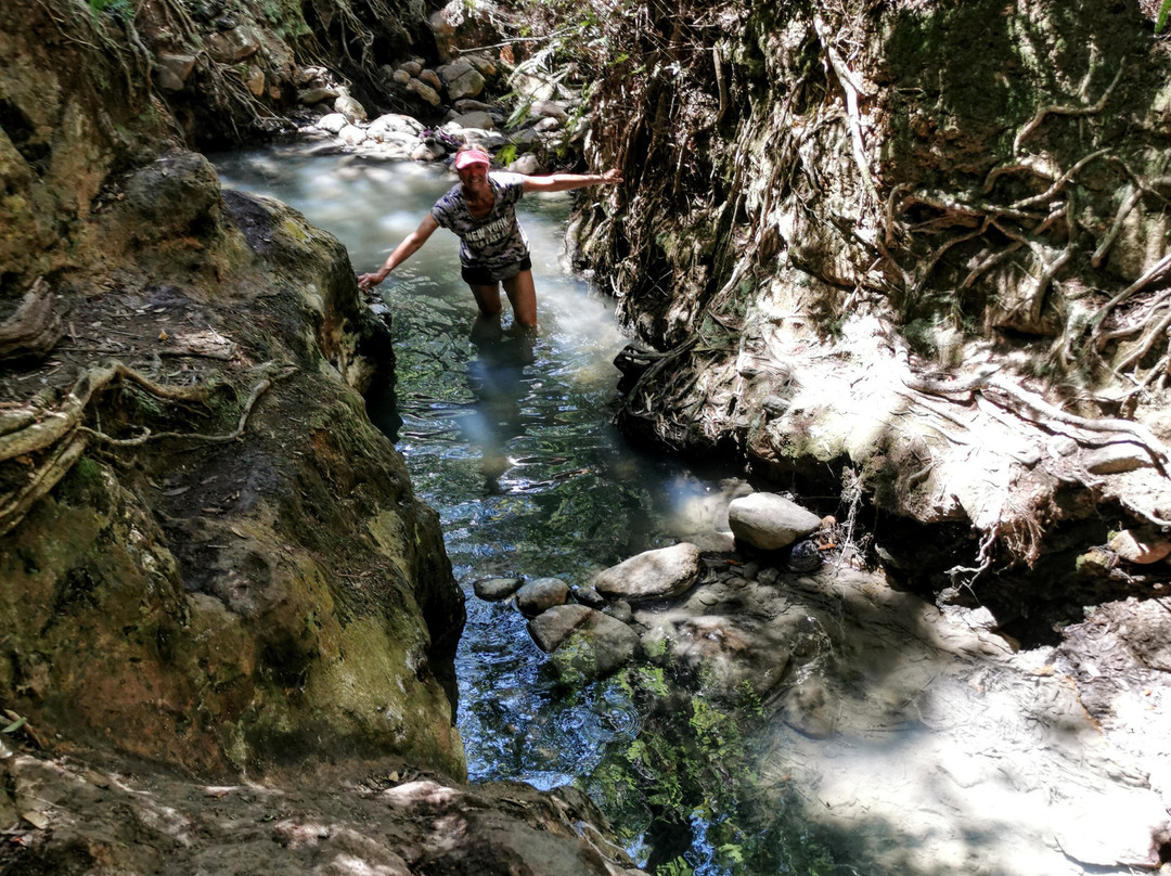 Kaitoke Hot Springs景点图片